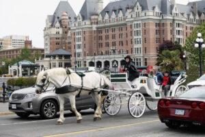 a family rides in a horse-drawn carriage through the streets of Victoria, BC